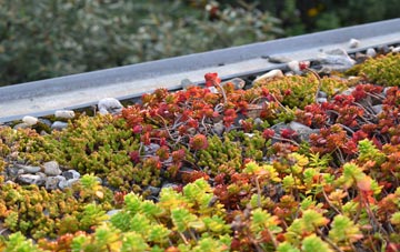 the cost of Husborne Crawley green roof installation